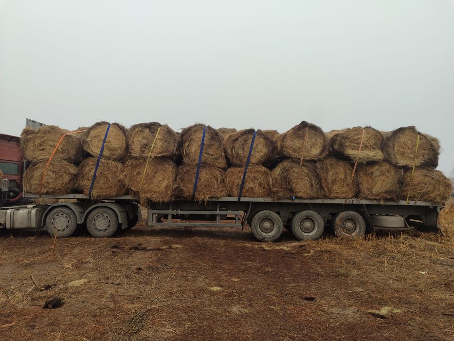Сено. Бесплатная доставка.