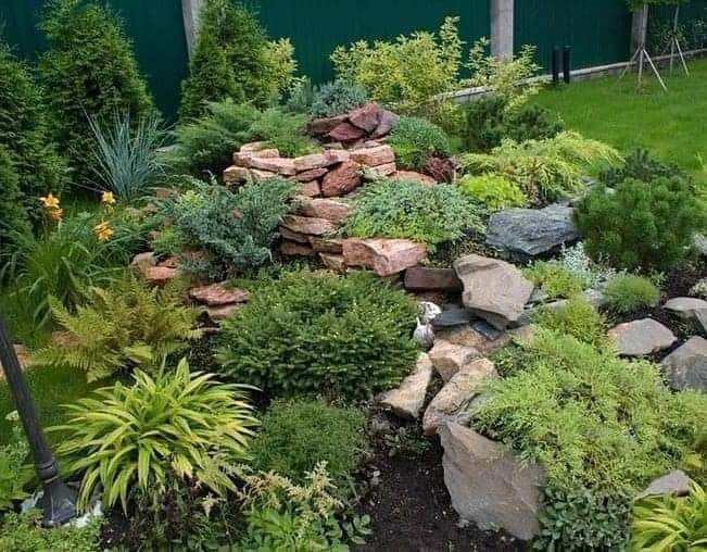 Ландшафтный дизайнер