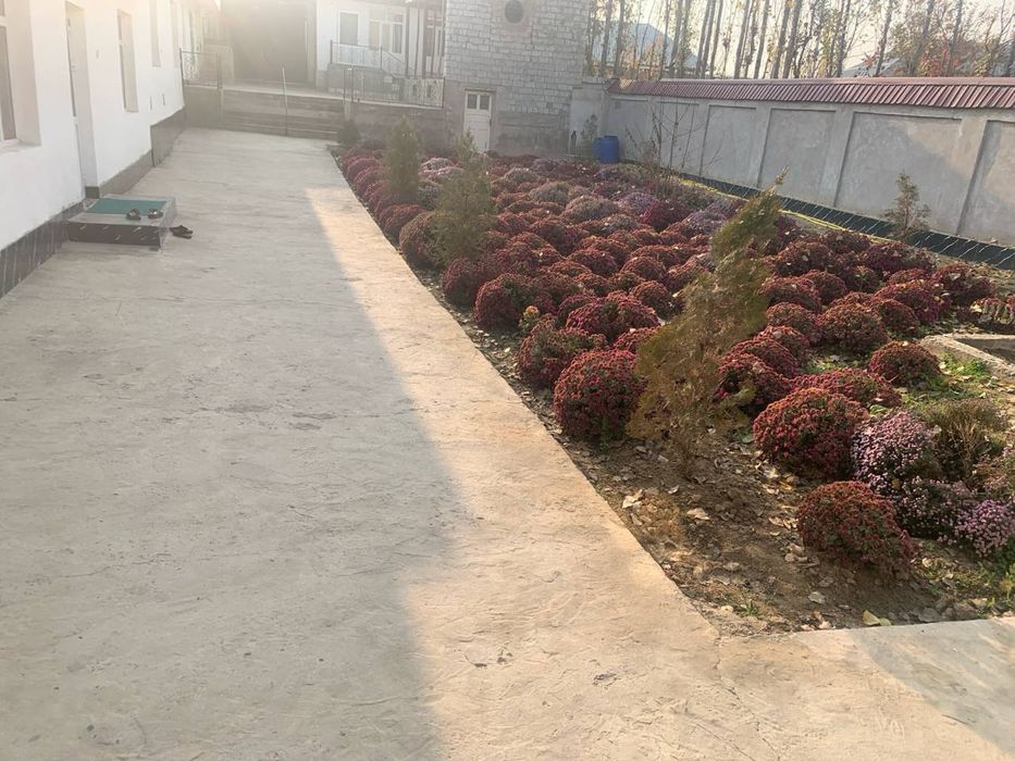 Hovli tayyor remont