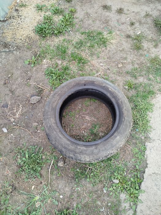 Продам шину на 14