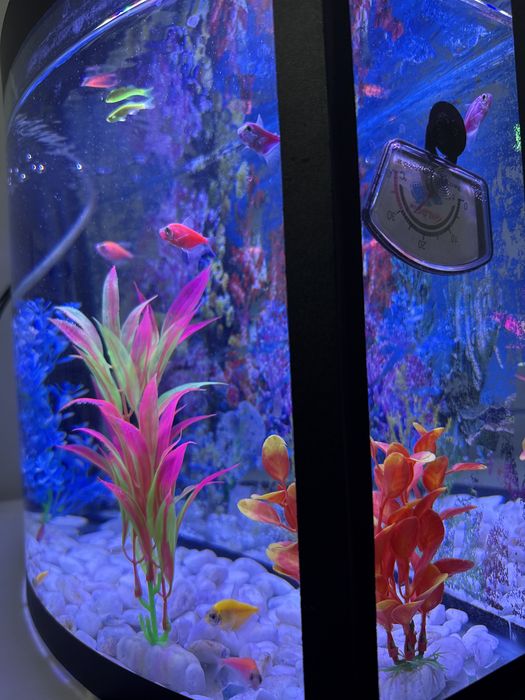 Akvarium 23 litr holati ideal