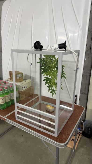 Террариум для рептилий, вертикальный