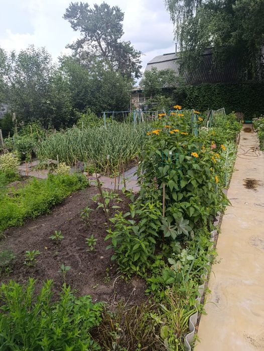 Срочно продам дачу