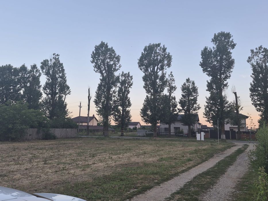 Teren de vanzare Ilfov 500 mp