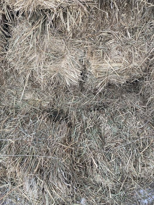 Продам сено разнотравье