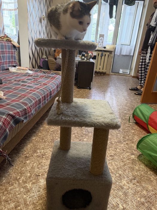 Продам домик для кошки