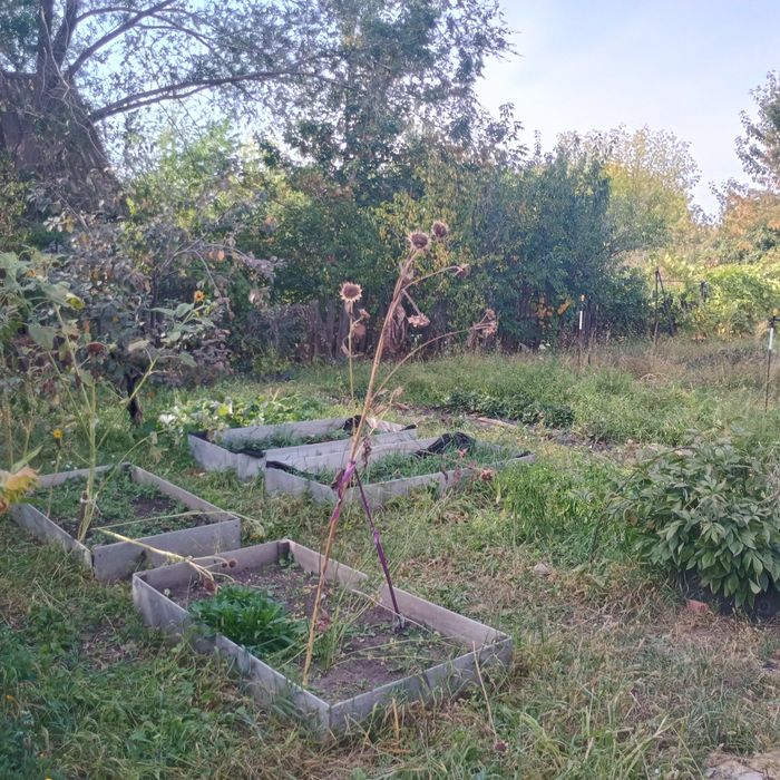Продам дачу 19 маршрут