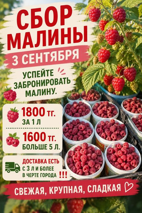 Продаётся малина