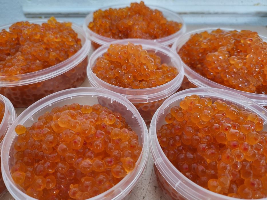 Икра горбуши. Лососевая икра. Икра форели.