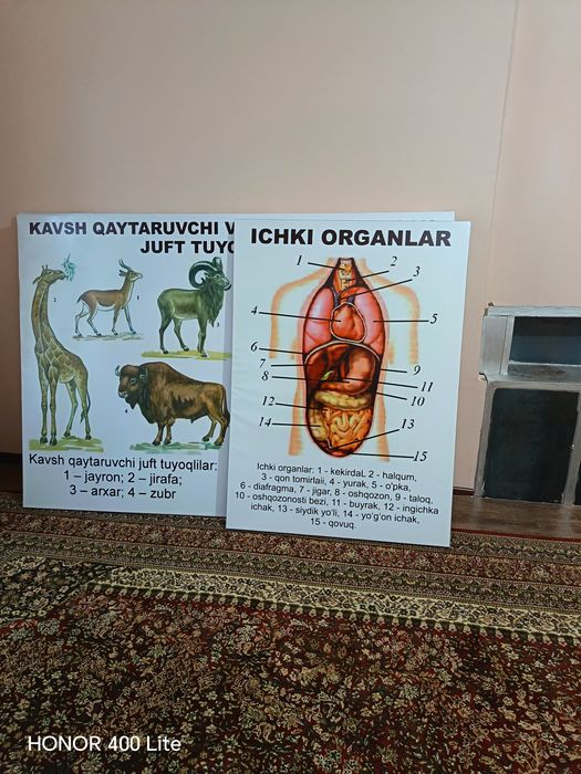Banner biologiya xonasi uchun