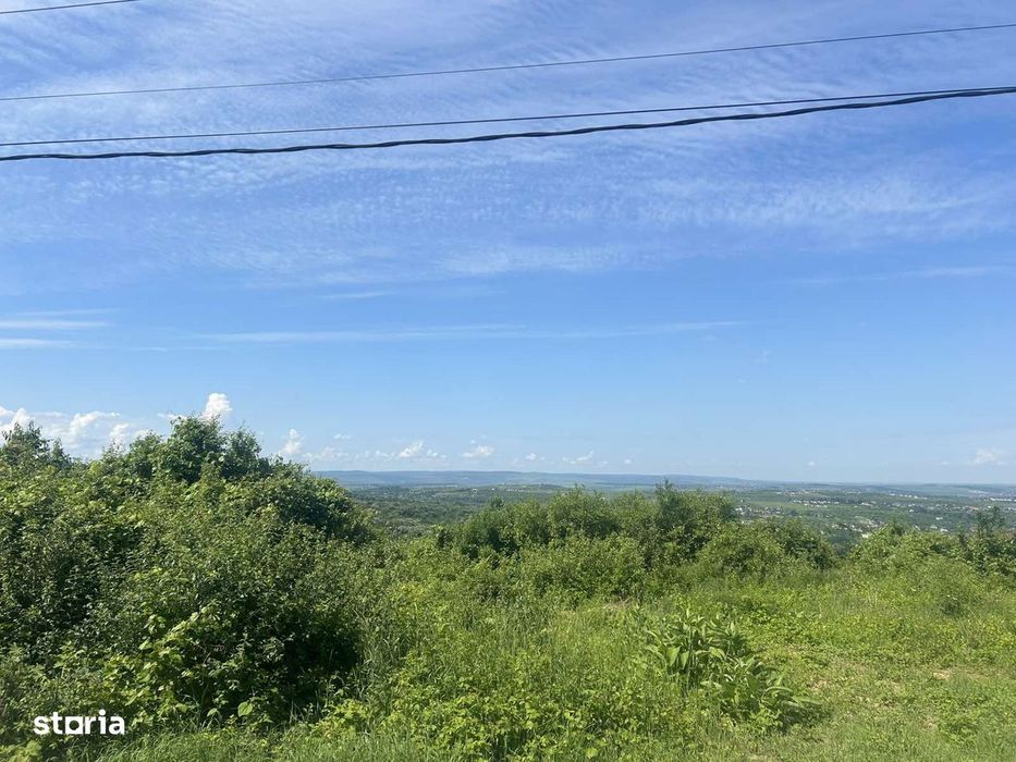 Teren intravilan 2778 mp Bucium Iași, Dublă deschidere 45 m la asfalt