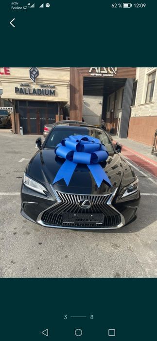 Банты для автомобилей