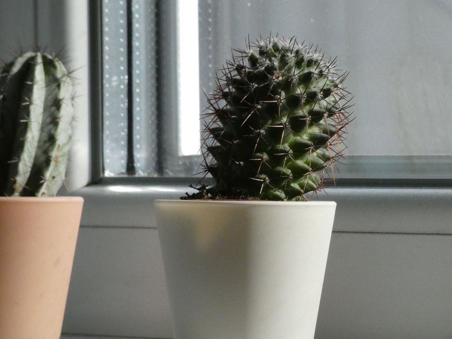 Aparat foto Panasonic Lumix DC-FZ82