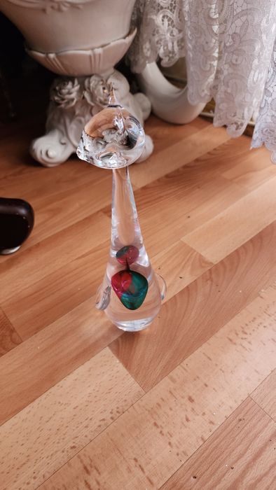 Кот хрустальный редкий