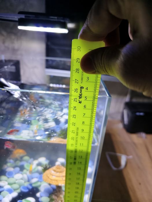 Аквариум атман 4та баликлари билан