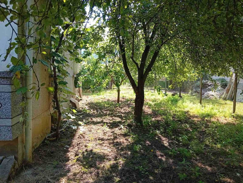 Продавам двуетажна къща с двор 752 кв.м. в гр. Плачковци