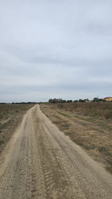 Teren intravilan  2500m² localitatea Lazu 
SUPRAFATA 2480mp
DESCHIDERE 38,43m
SITUATLA 600m DE SOSEAUA CUMPENEI SI 500M DE CENTRUL SATULUI LAZU
CADAST