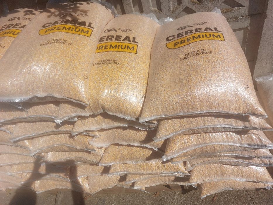 Porumb și Grâu boabe