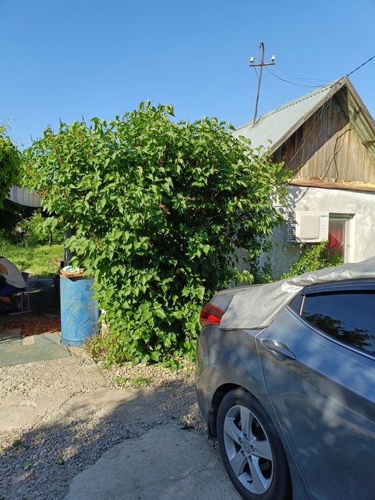 Дача на Кайнар булаке