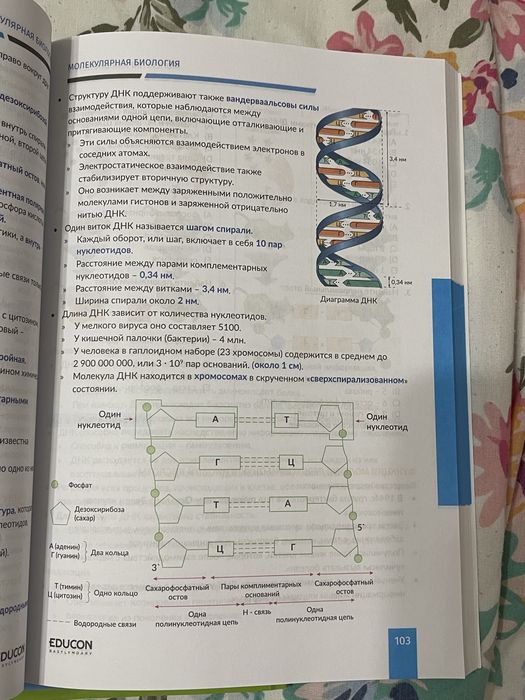 Учебники для ЕНТ . EDUCON