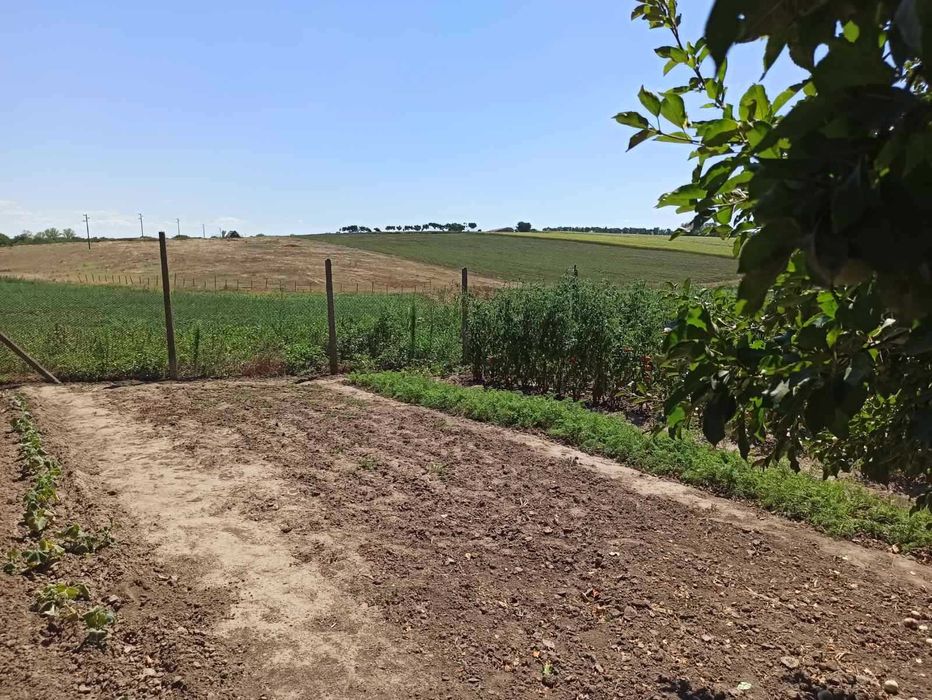 Продава се Земеделски имот в с. Къпиново, Област Добрич -  кв.м за 3296 €/дка - Снимка #8