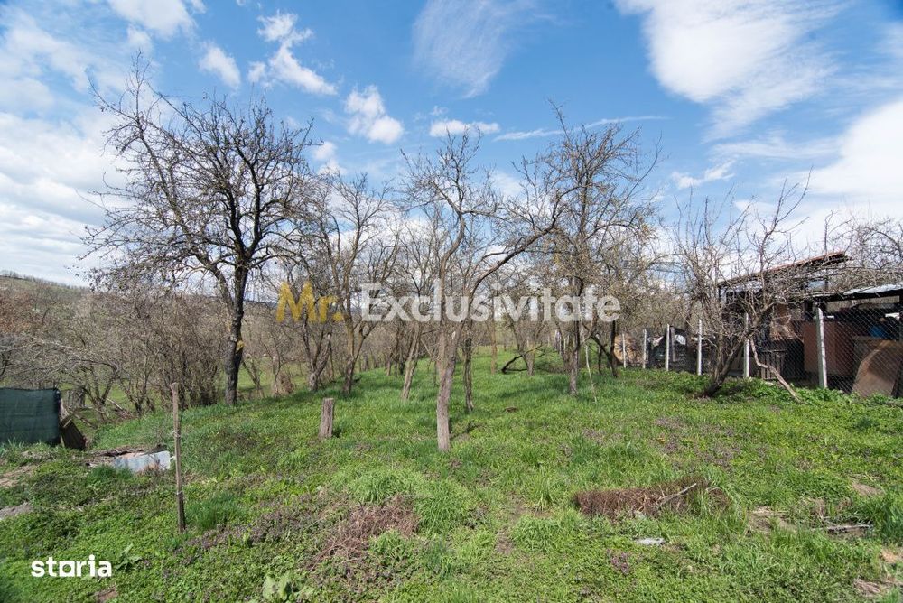 Casa gata de mutat+teren 1000 mp in Mihaesti,jud. Arges