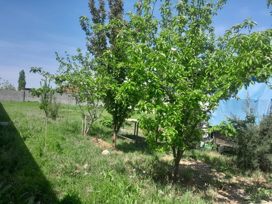 Времянка Қайтпас2де