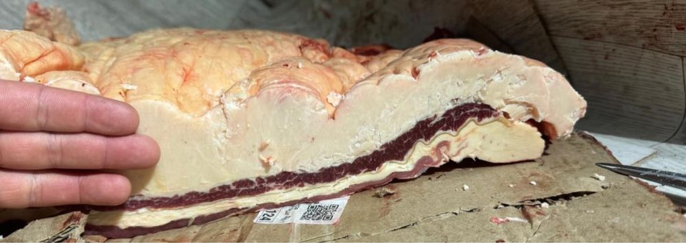 Продам мясо конина