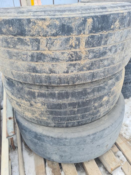 Бу  донгелек  бар.