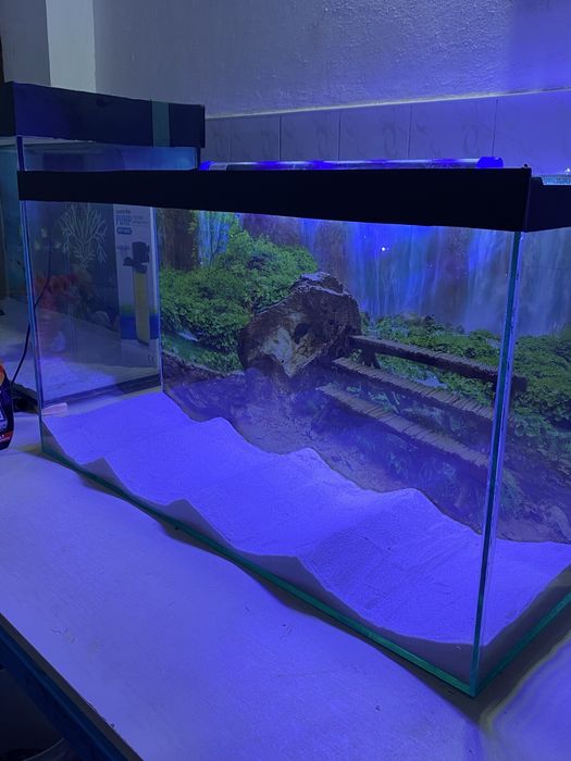 сифат ва арзон бизда 55л