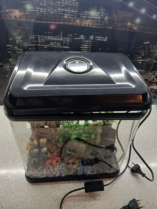 Аквариум 20 литра оборудван