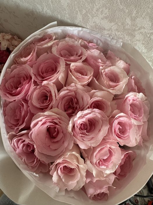 Гул сатылады!25 шт роза