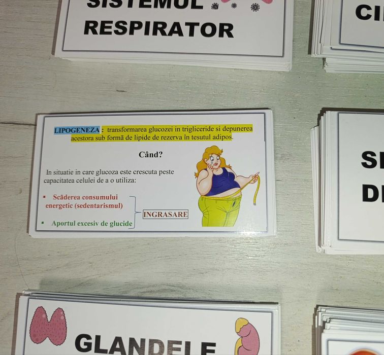 Set Flashcards Corint pe capitole