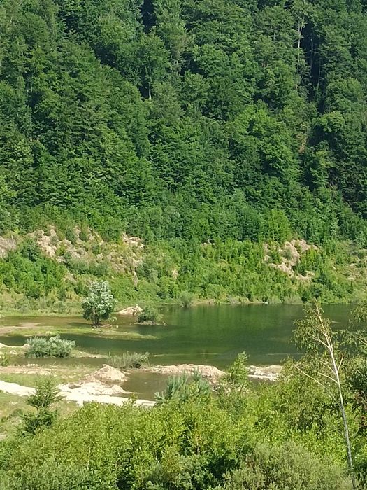 Cabana de închiriat pe malul Lacului Lesu, Bihor