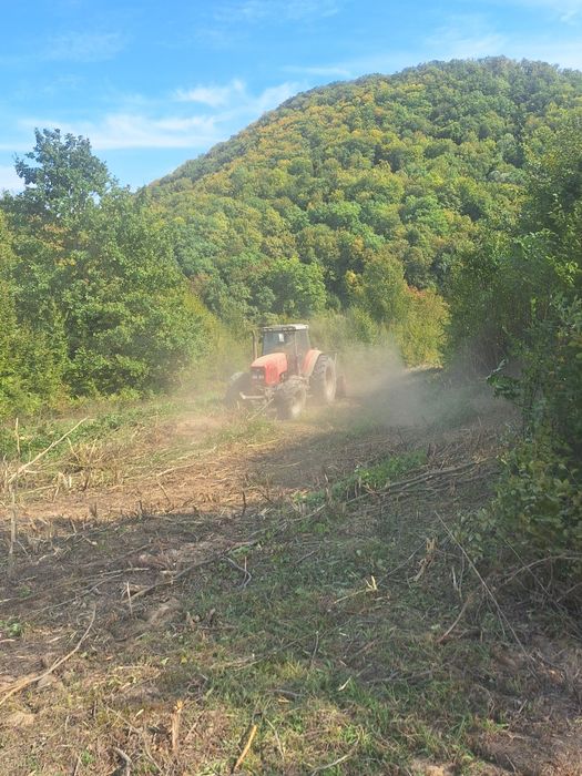 Curațăm pășuni și terenuri împădurite