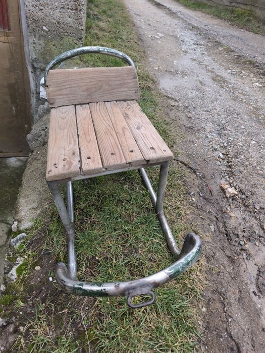 Здрава зимна шейна