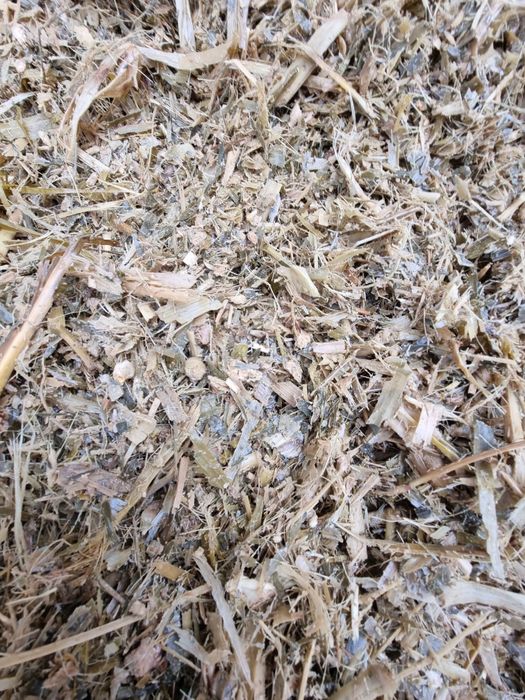 Silo's sotiladi Kirda o'rilgan Yamada 3 teleshka  narxin  kelishiladi