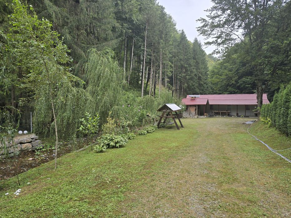 Cabană de închiriat Valea Brătcuței