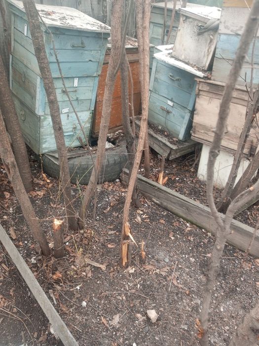 Продам улья б/у в хорошем состоянии,