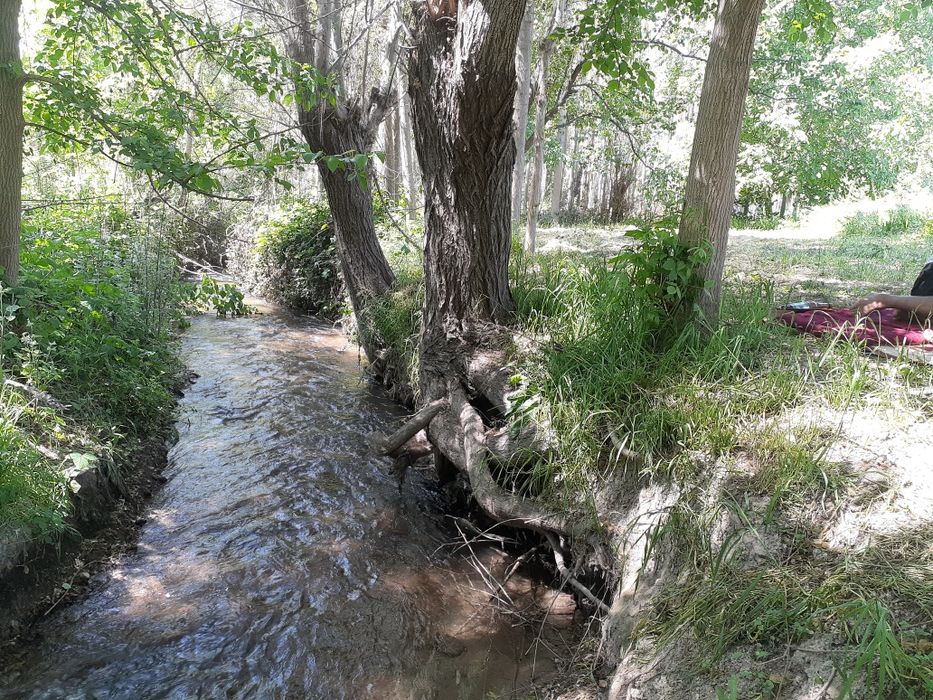 Ер сотилади 10 сотих