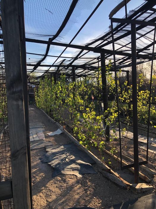 Дача, 13 соток, 2 водоколонка,