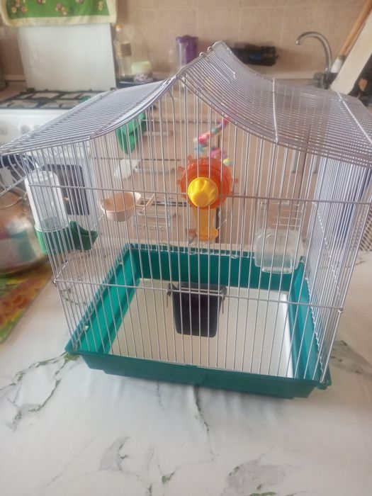 Продаеца клетка для попугаев