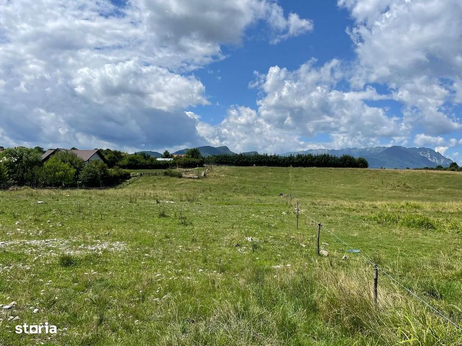 INVESTIȚIE | Teren 5000 mp PUZ APROBAT intravilan - zona Sohodol -Bran