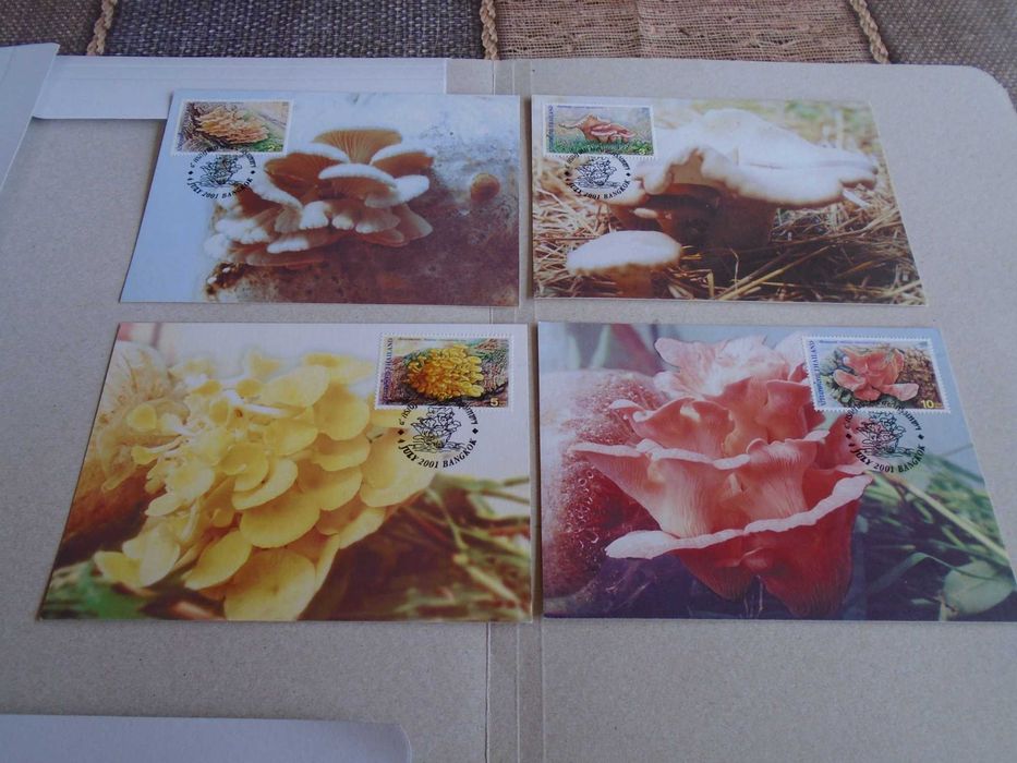 Lot 4  CM Tailanda + 1 FDC Suedia Ciuperci / Mushroom Maximum Cards & FDC