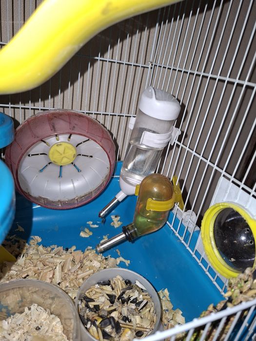 Клетка для грызунов