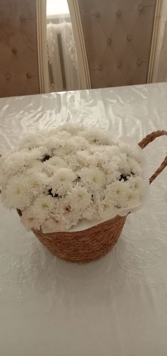 Гүлдер, гүлдер, цветы