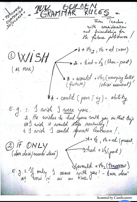 Teste si gramatica admitere plus caiete de la pregatire