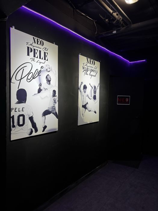 Продам неоны и картины А1 / А2 формат