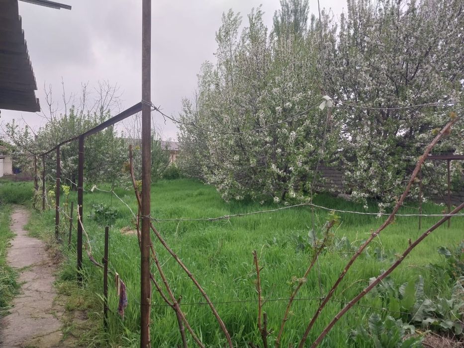 Yangibozor sotik 12.000mingdan yaxwi maxalla