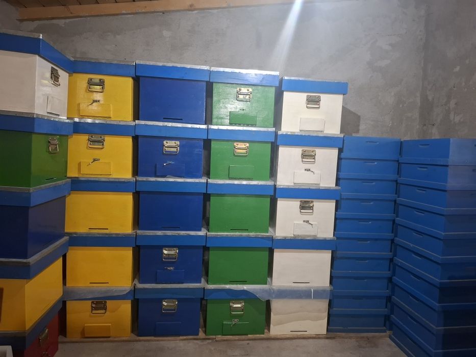 Lazi albine pentru stupărit